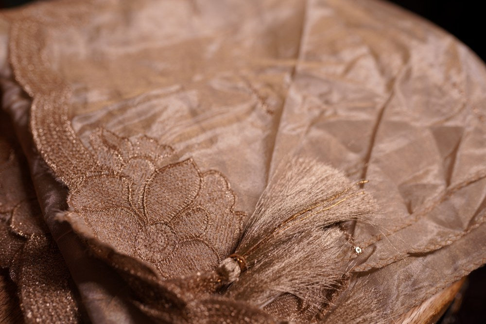 Champagne Organza Dupatta