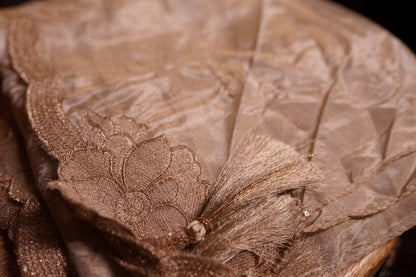 Champagne Organza Dupatta